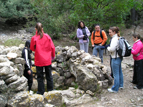 Font de s'Abeurada